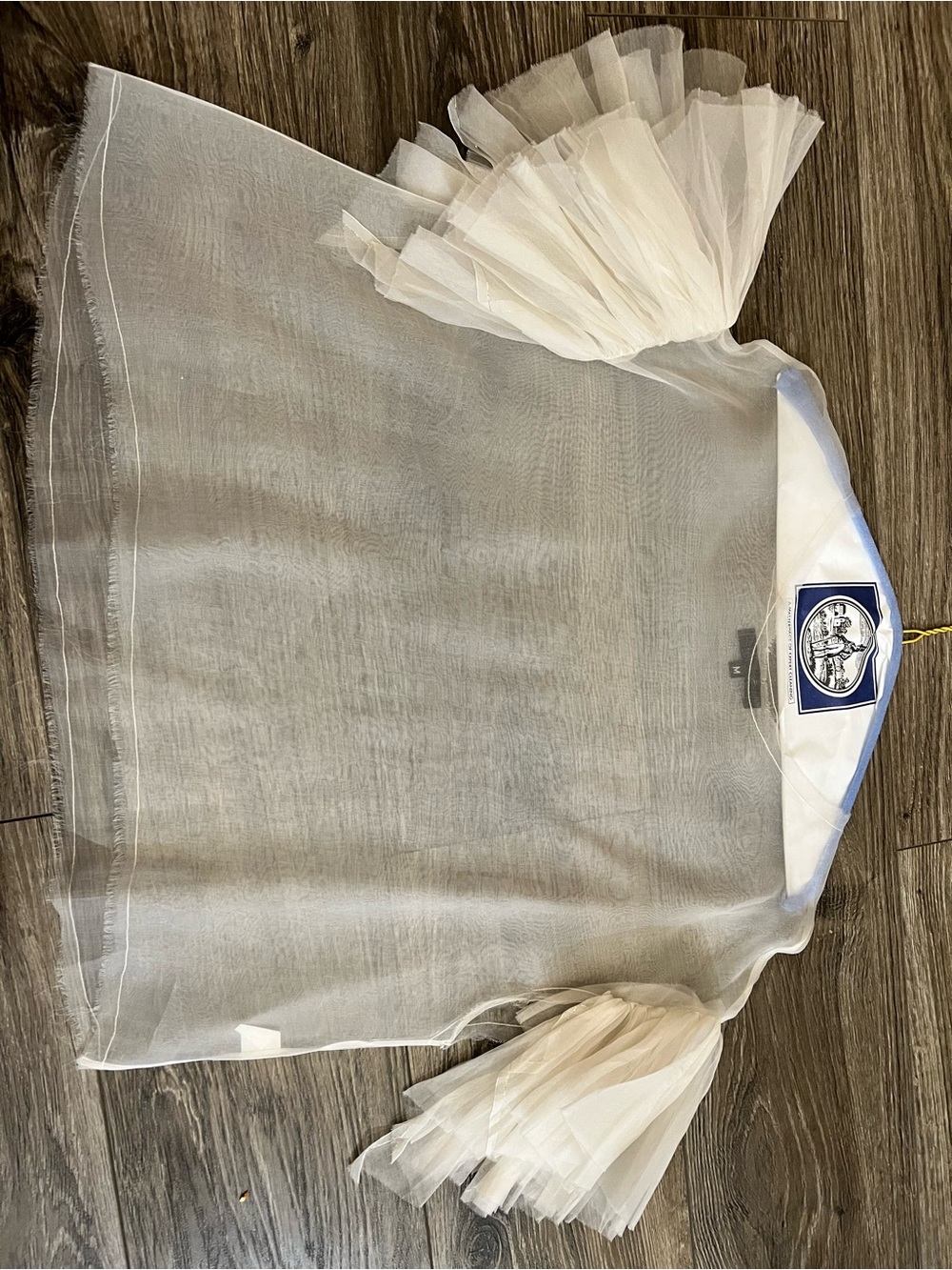Sheer Ivory Tulle Sleeve women’s Top